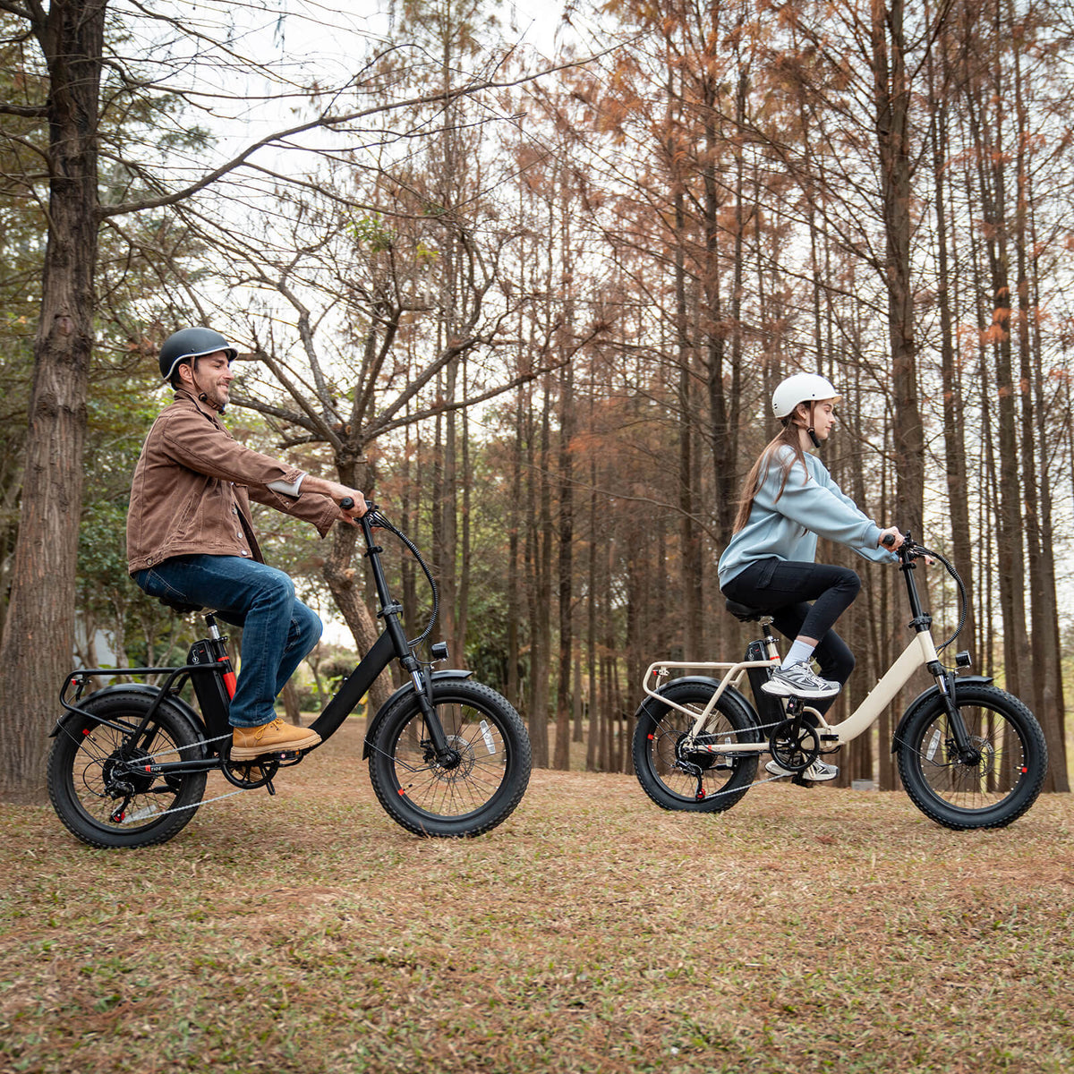 Tide 2 Folding Electric Bike